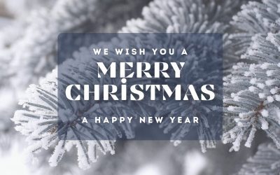 ThermoPanels | Insulated Conservatory Roof Panels UK 11 ThermoPanels wishes you a Merry Christmas and a happy New Year!