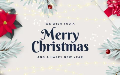 Merry Christmas & Happy New Year from insulated thermal panels – ThermoPanels